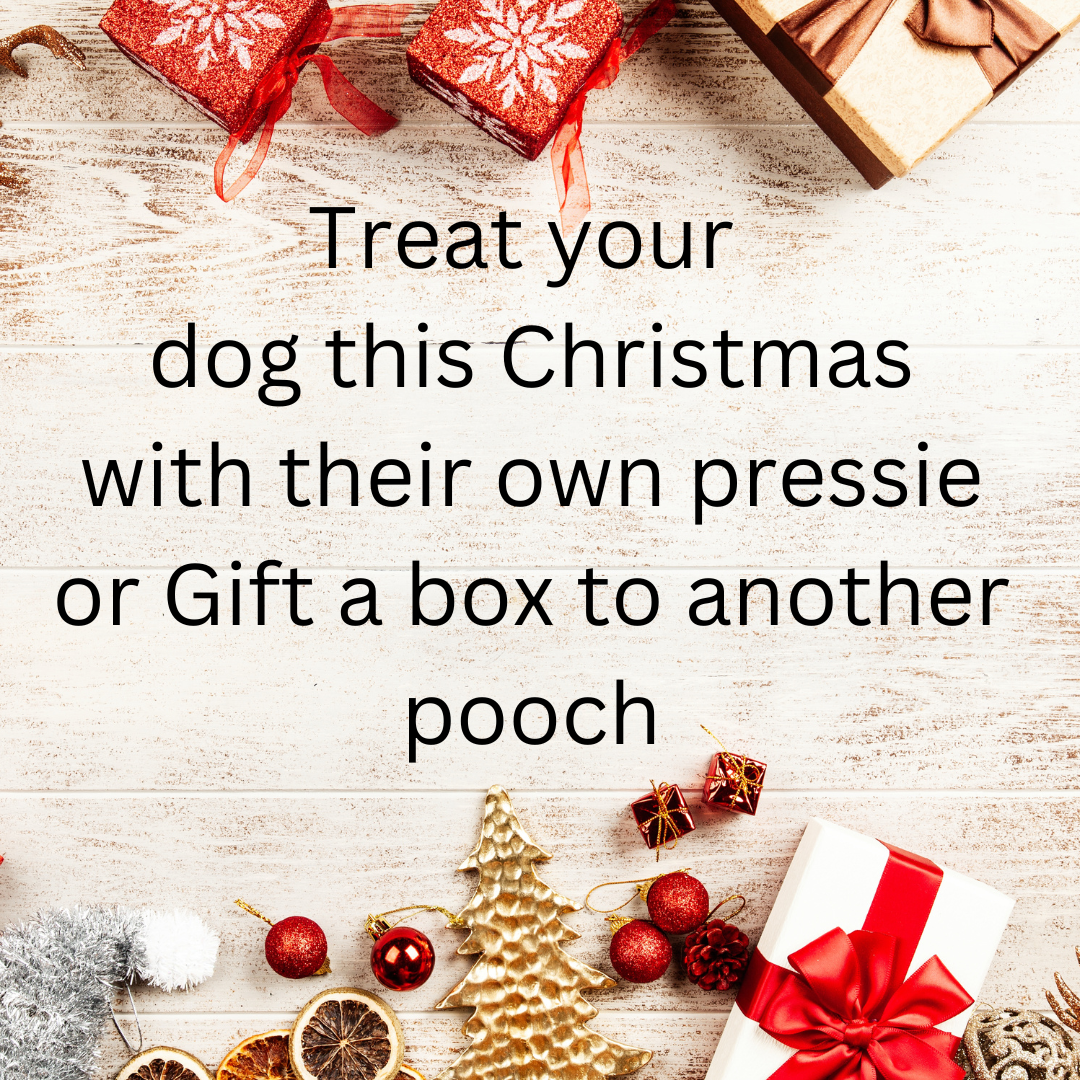 Treatmas Doggo Box