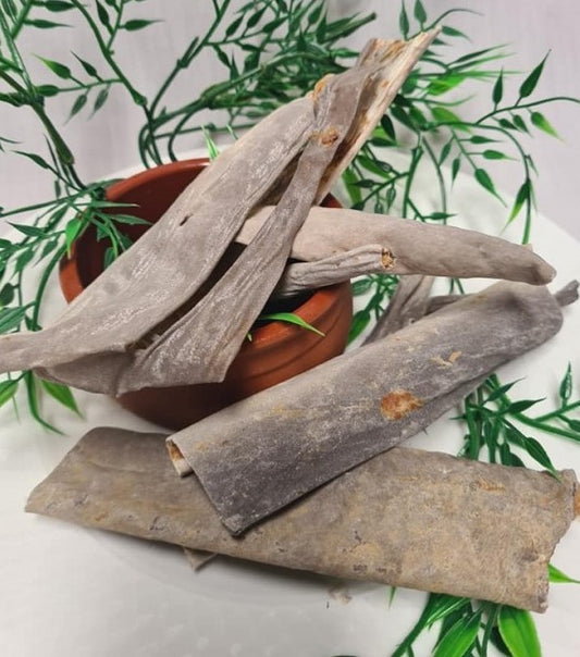 Shark Skins
