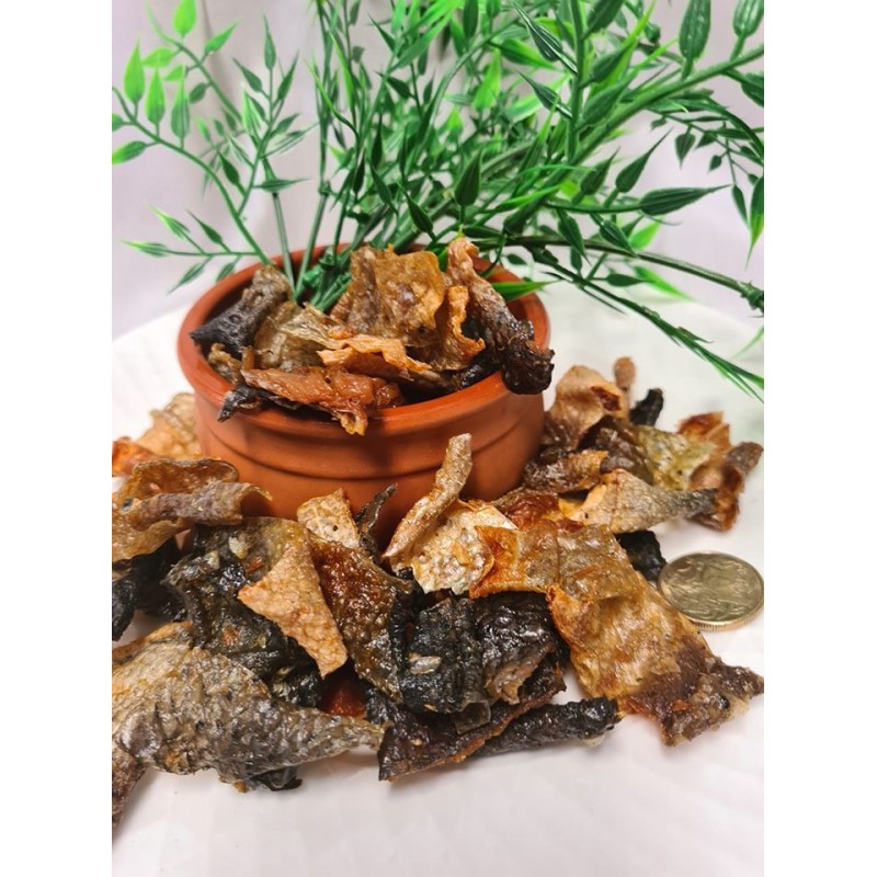 Salmon Chips