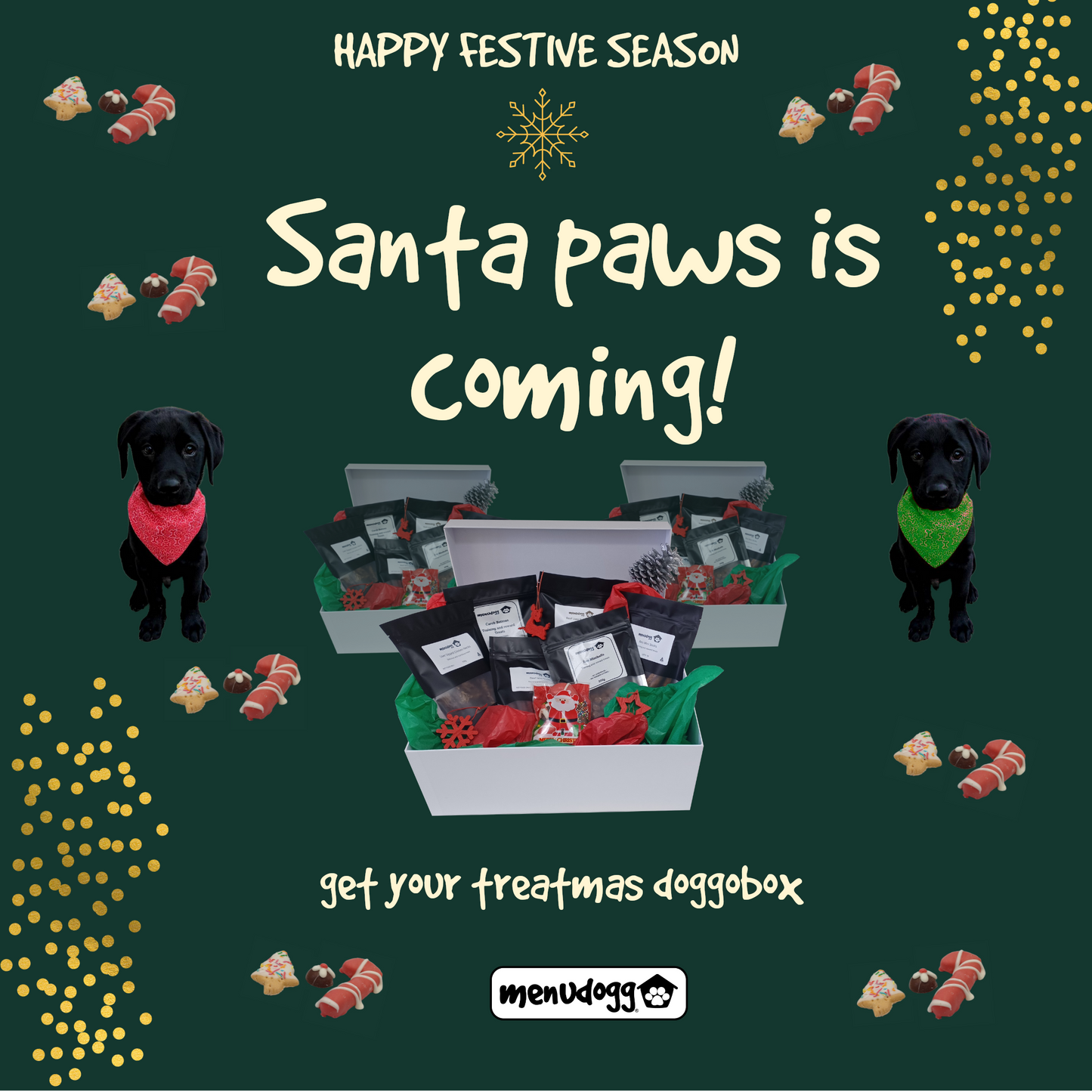 Treatmas Doggo Box