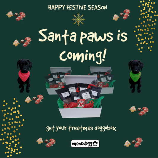 Treatmas Doggo Box