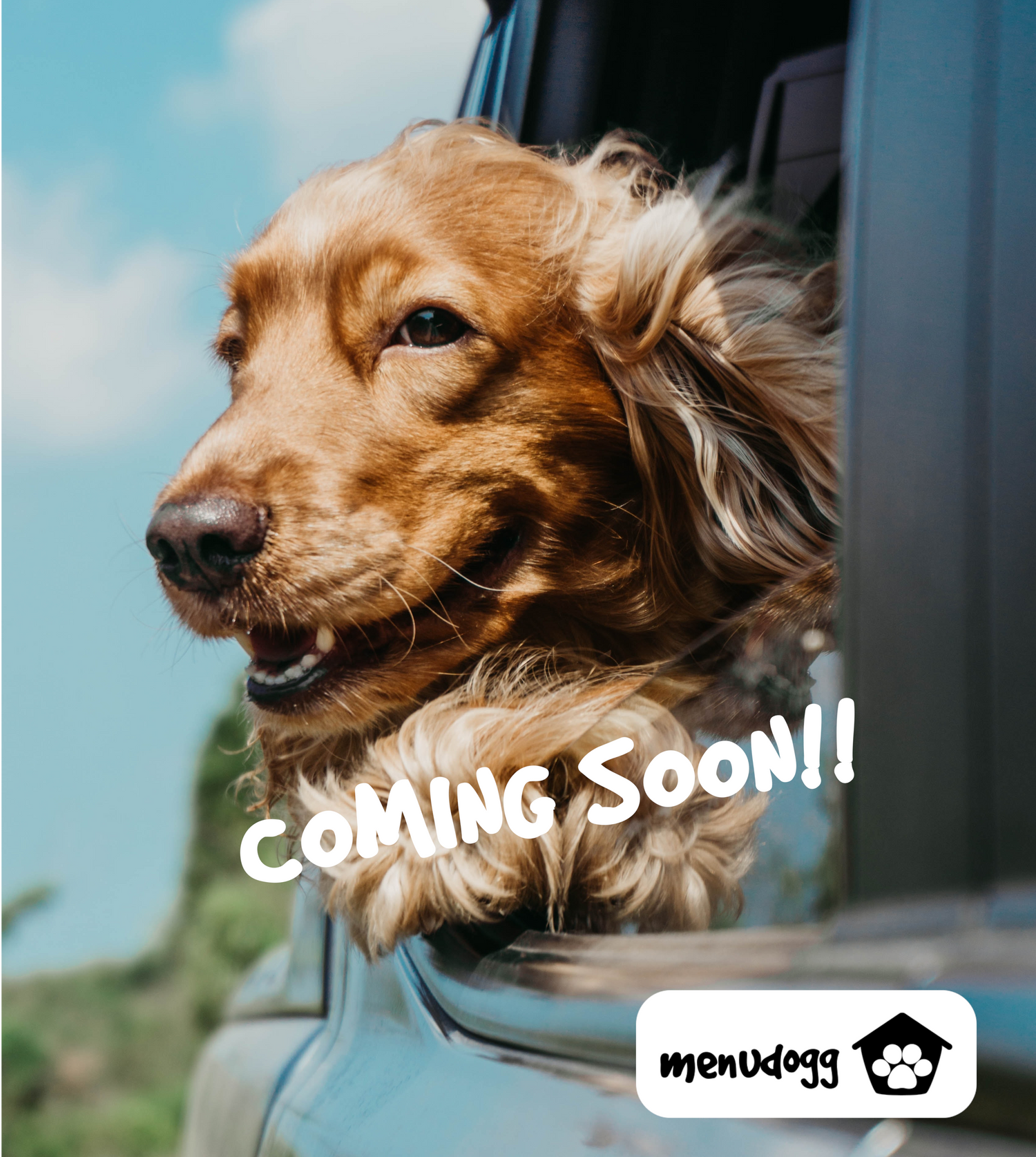 Coming Soon!!!